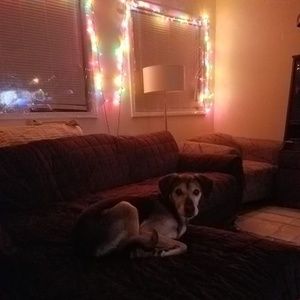 Meet your Posher, Lizrosec